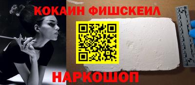 крисы Дубна