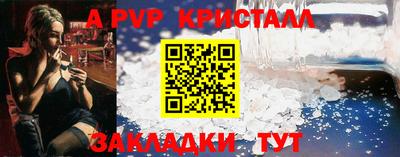 крисы Дубна