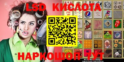 крисы Дубна